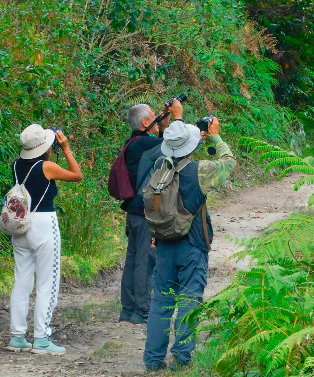 El poder de la Montaña