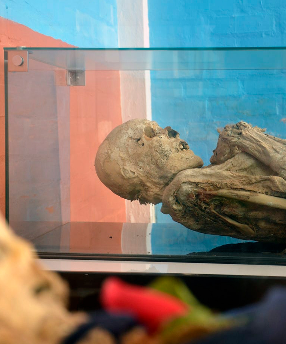 Momias de San Bernardo